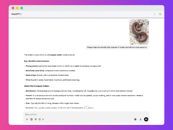 ChatGPT perfectly well answering questions about snakes.