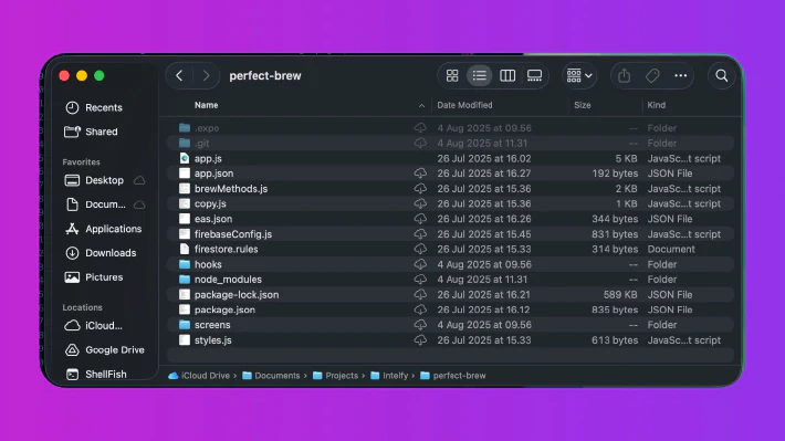 A screenshot of the folder containing all the components of the .apk on my computer
